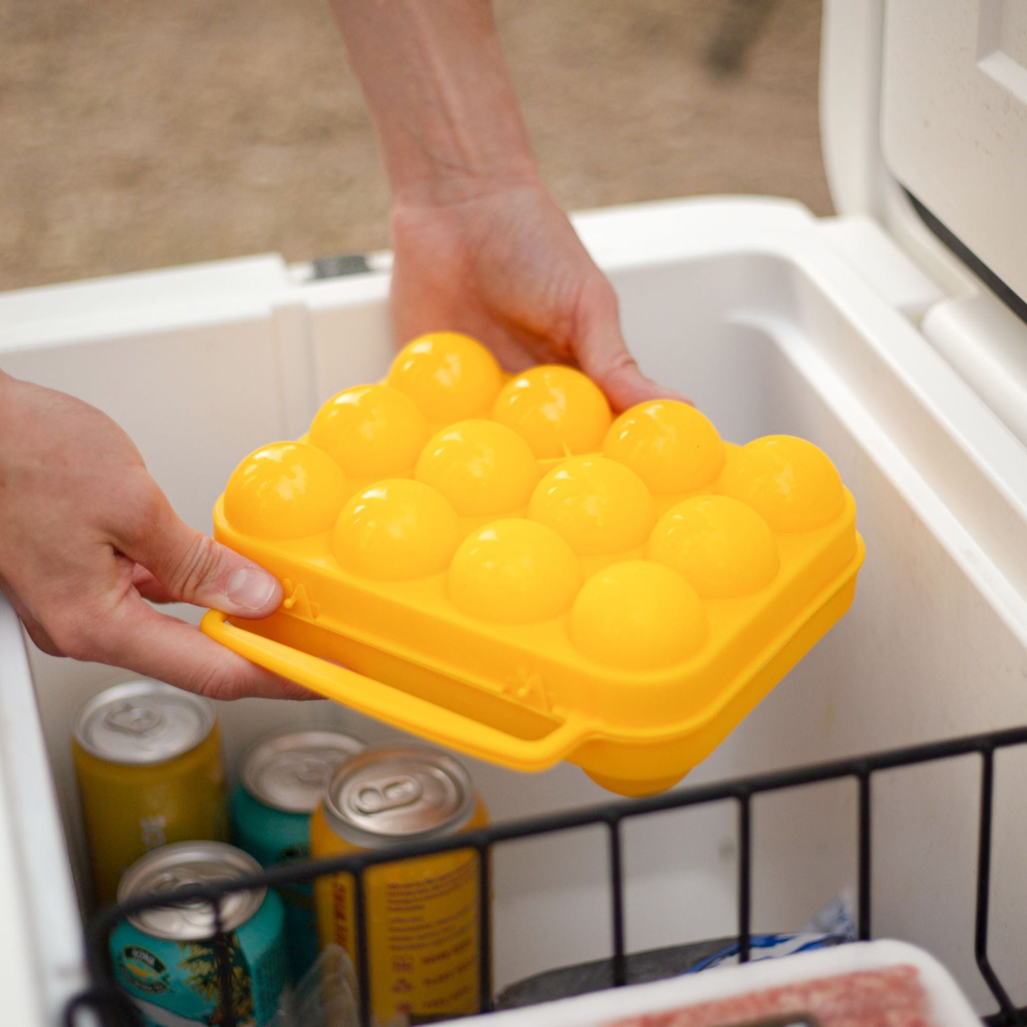 Coghlan's Camper 12 Egg Carrier