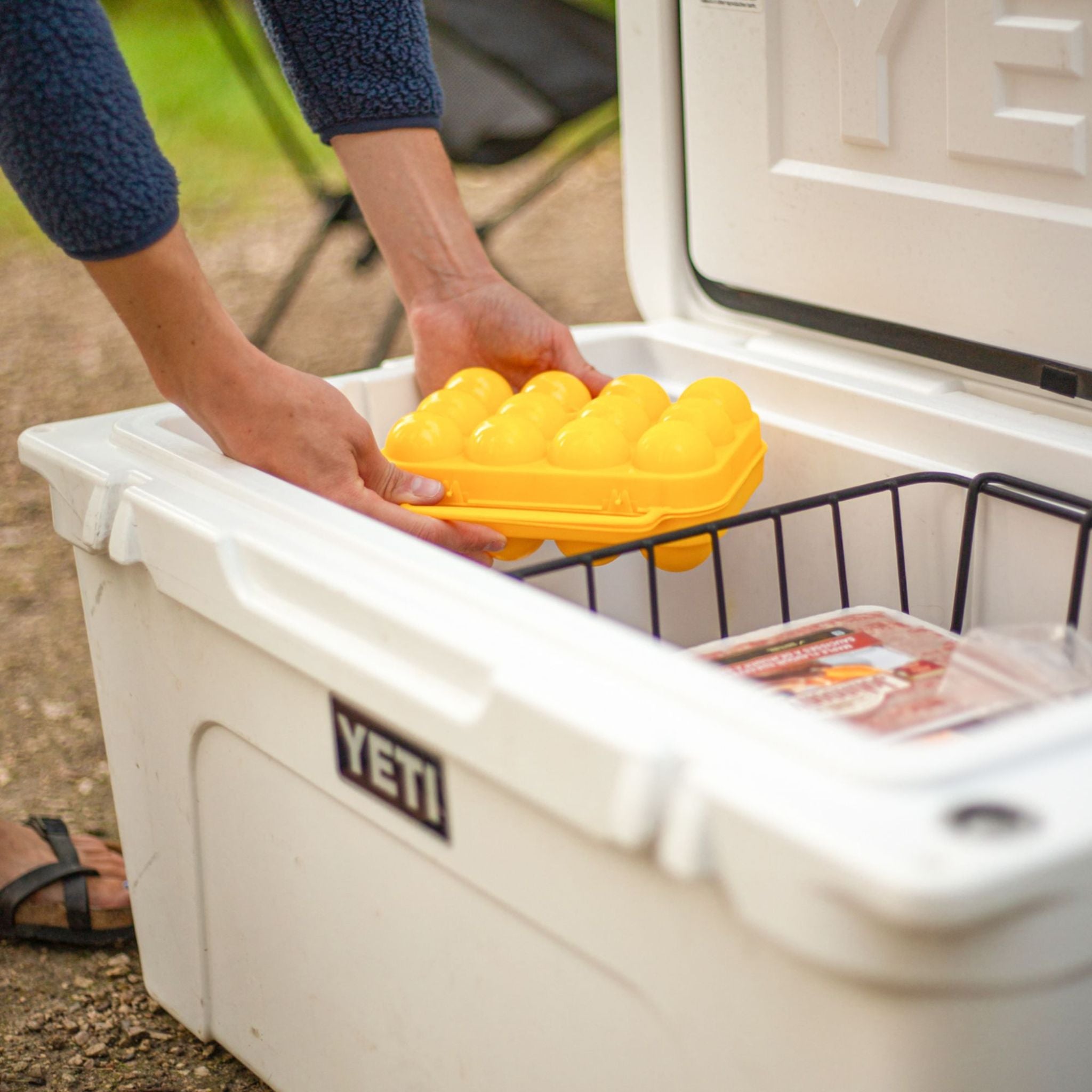 Coghlan's Camper 12 Egg Carrier