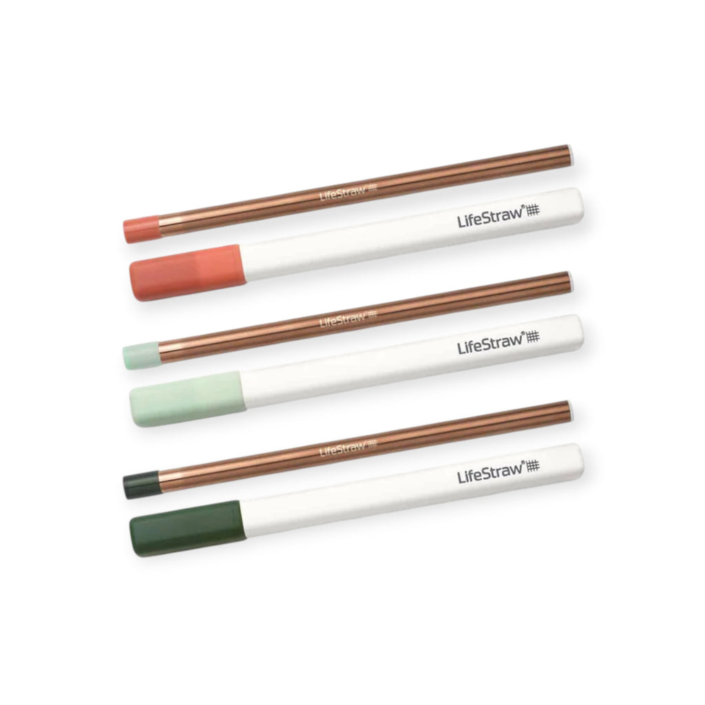 LifeStraw Sip Reusable Stainless Steel Water Filter Straw With Carry Cases - 3 Pack - FERAL