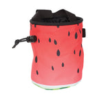 Cypher Melon Chalk Bag