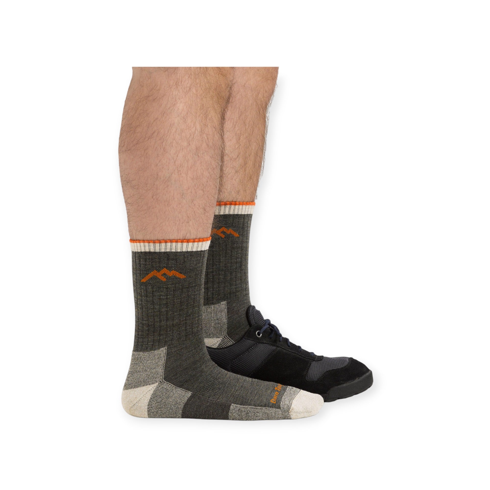 Darn Tough Hiker Micro Crew Midweight with Cushion Socks