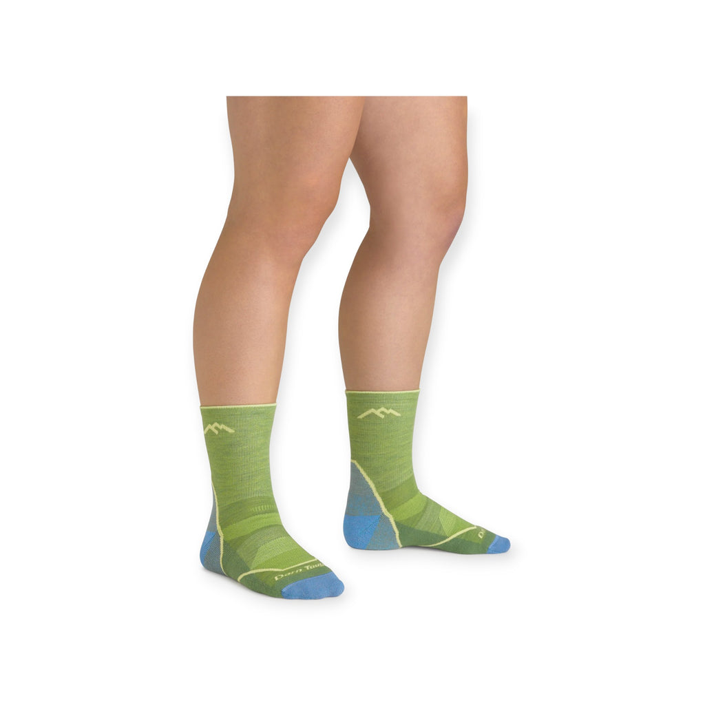 Darn Tough Kid's Light Hiker Micro Crew Lightweight with Cushion Socks - FERAL