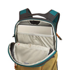Osprey Daylite Backpack - FERAL