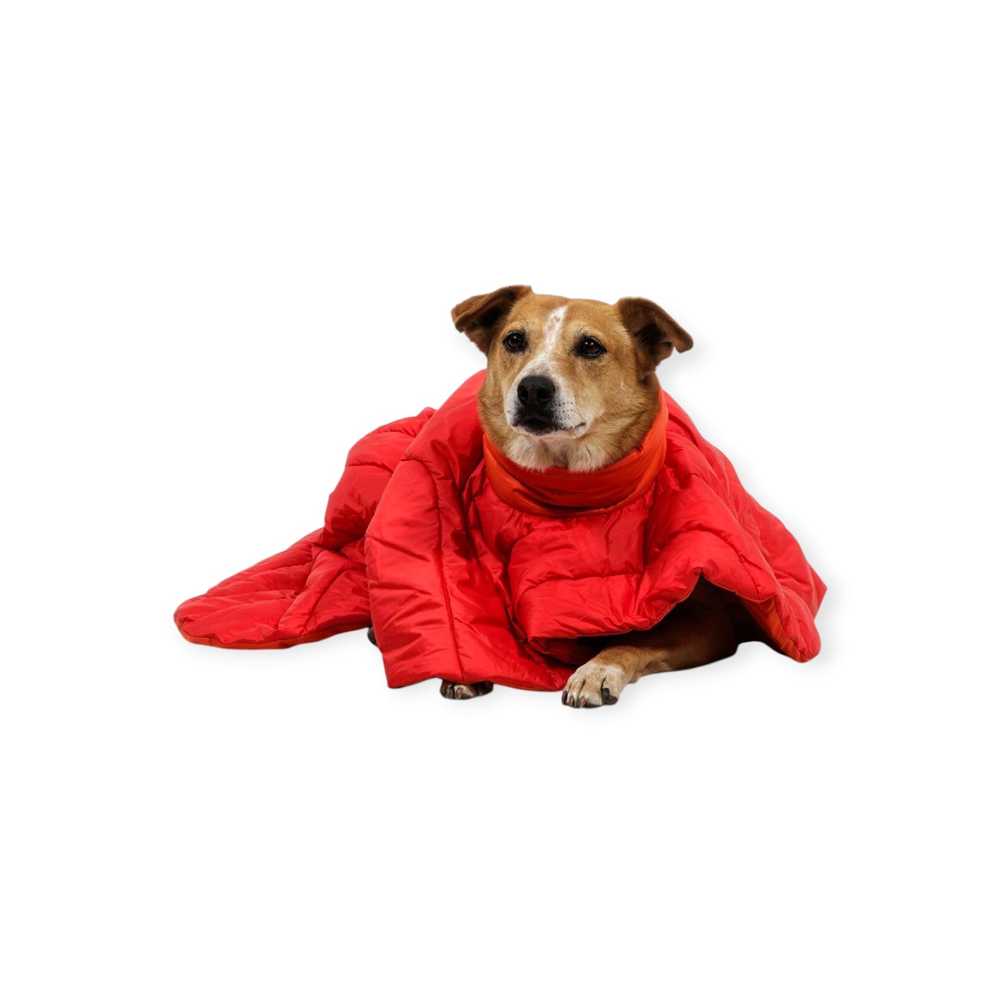 Ruffwear Dog Palisades Sleep Poncho - FERAL