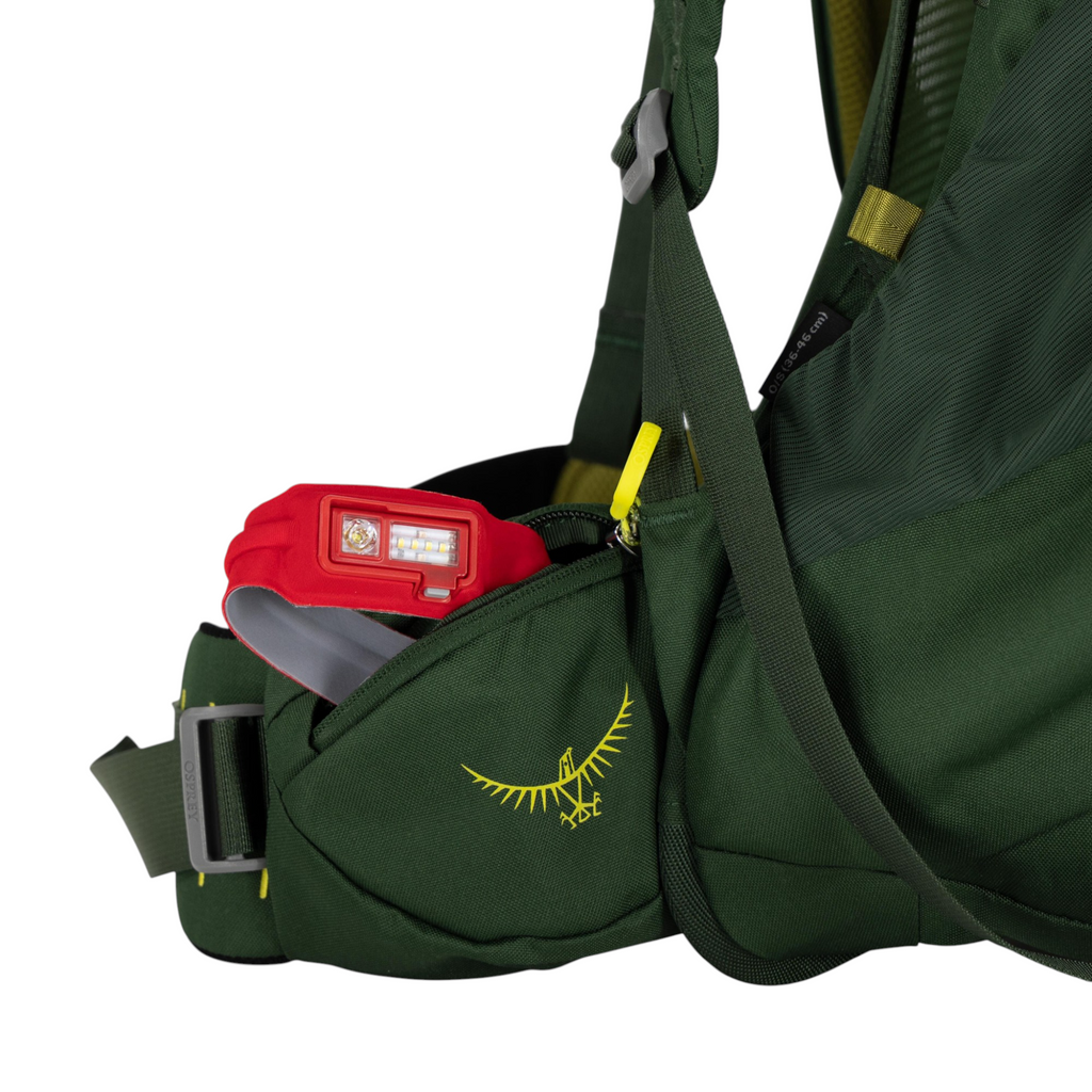 Osprey Ace 50 Youth Backpacking Backpack - FERAL