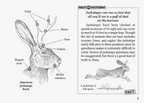 Field Guide to the North American Jackalope - A. Robbins - FERAL