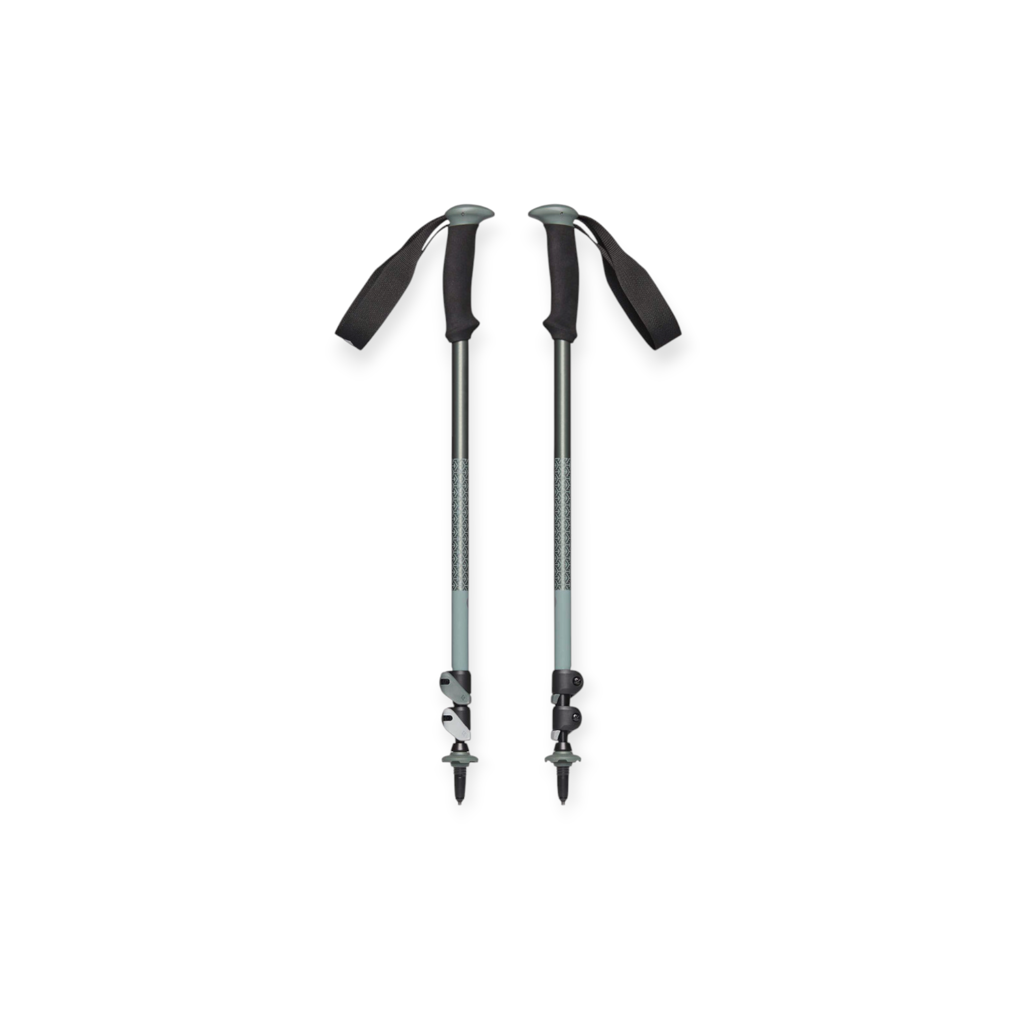 Black Diamond Trail Sport Trekking Poles - FERAL