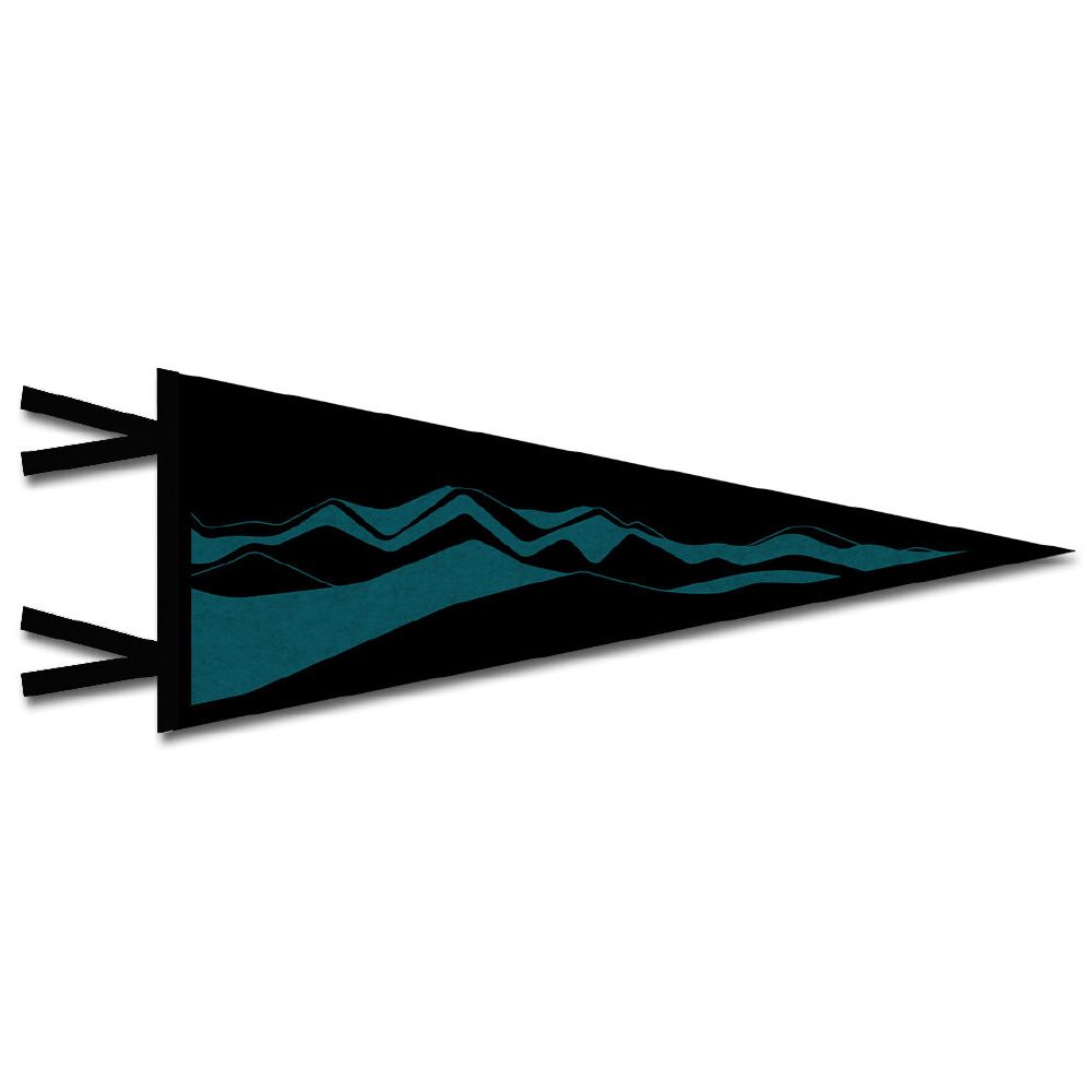 FERAL Mountains Felt Pennant Black | Teal