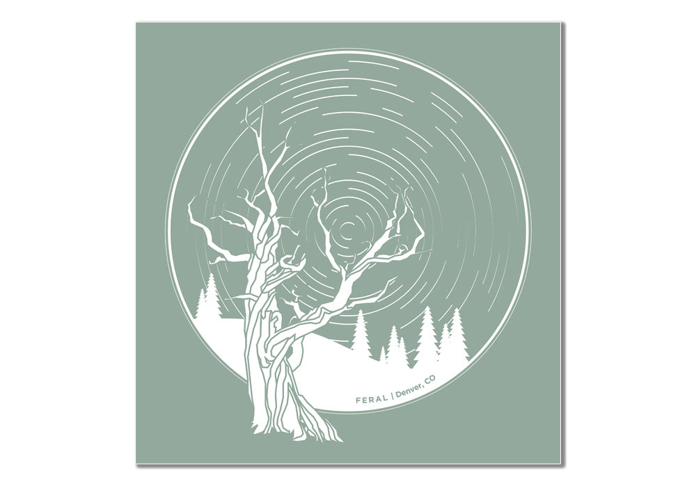 FERAL Tree and Startrails Teal Sticker