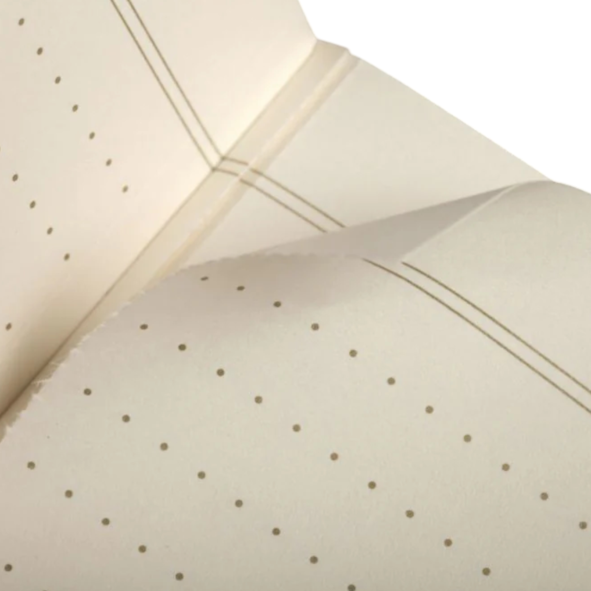 Field Notes Vintage Memo Book 3-Pack - FERAL