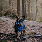 Handker Bandanas Bandana
