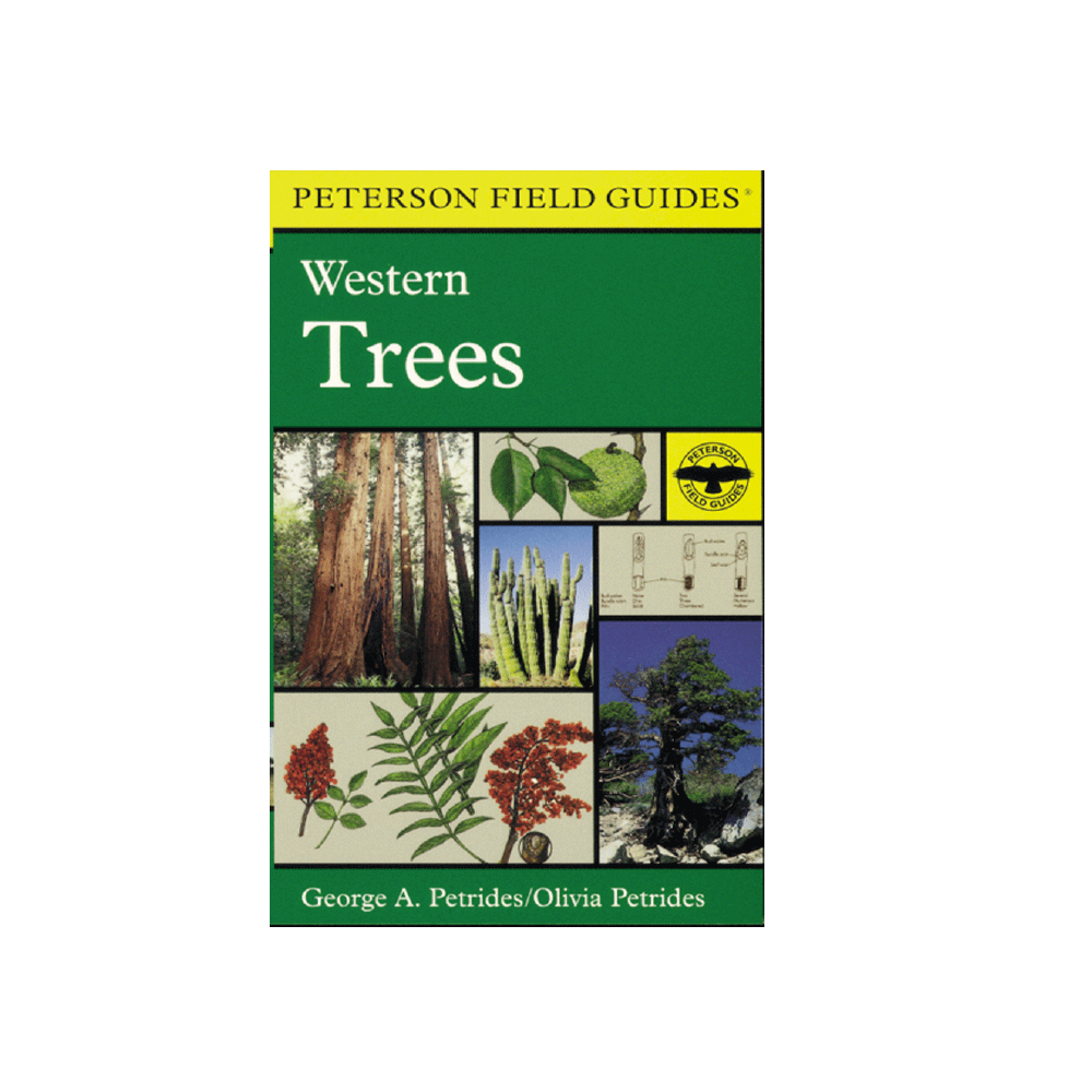 Peterson Field Guide To Western Trees Western United States And Canada