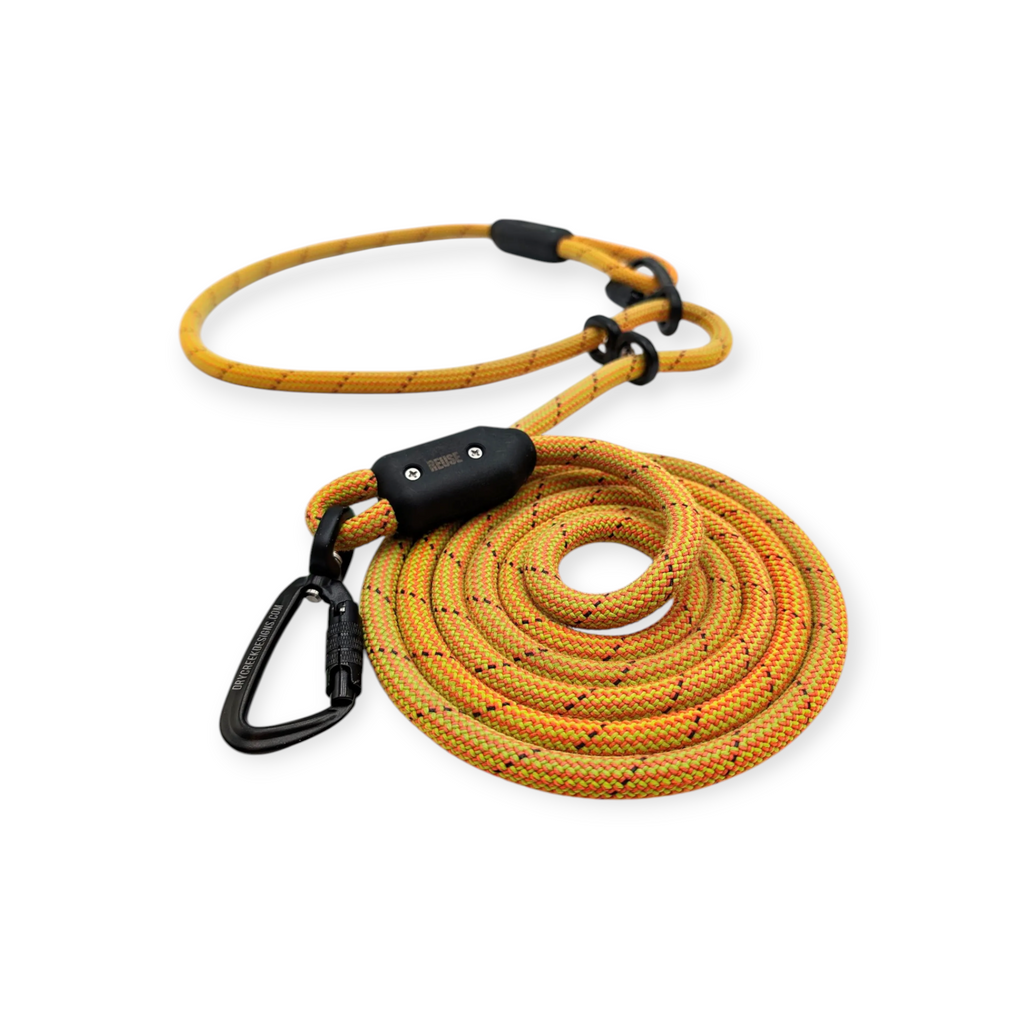 Dry Creek Designs Hands Free Dog Leash