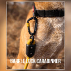 Dog collar with a barrel lock carabiner on a blurred natural background