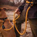 Dry Creek Designs Hands Free Dog Leash