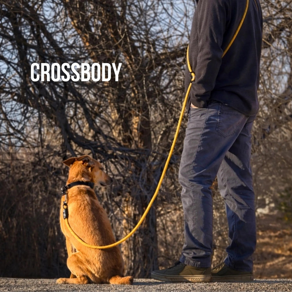 Dry Creek Designs Hands Free Dog Leash