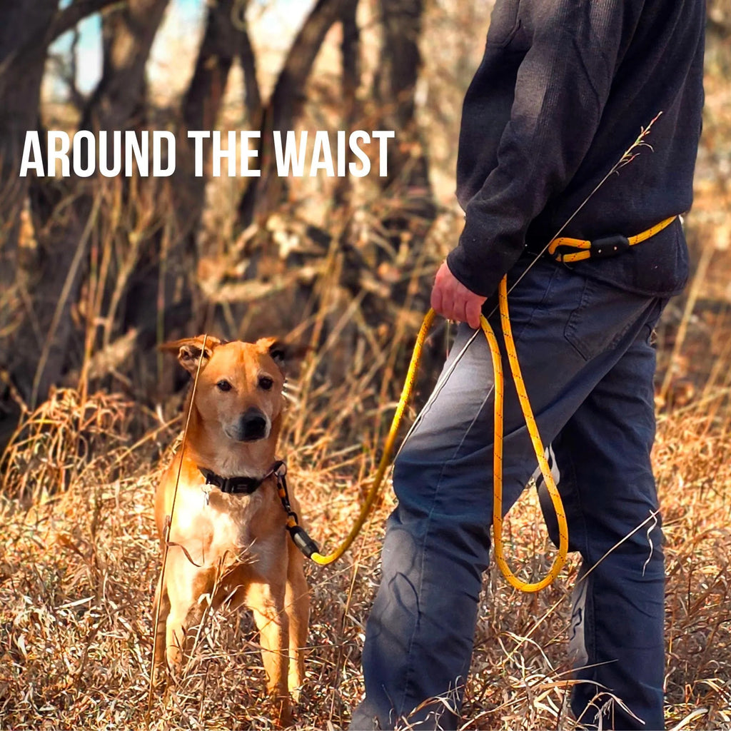 Person walking a dog with a leash around the waist in a natural setting
