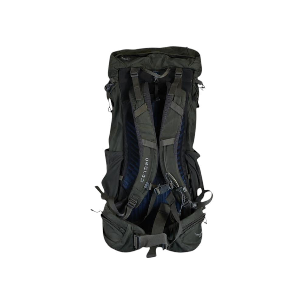 Grey Osprey Kestral 48 backpack by Osprey, back view showing straps and waist belt.