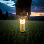 Goal Zero Lighthouse Micro Flash USB Rechargeable Lantern - FERAL