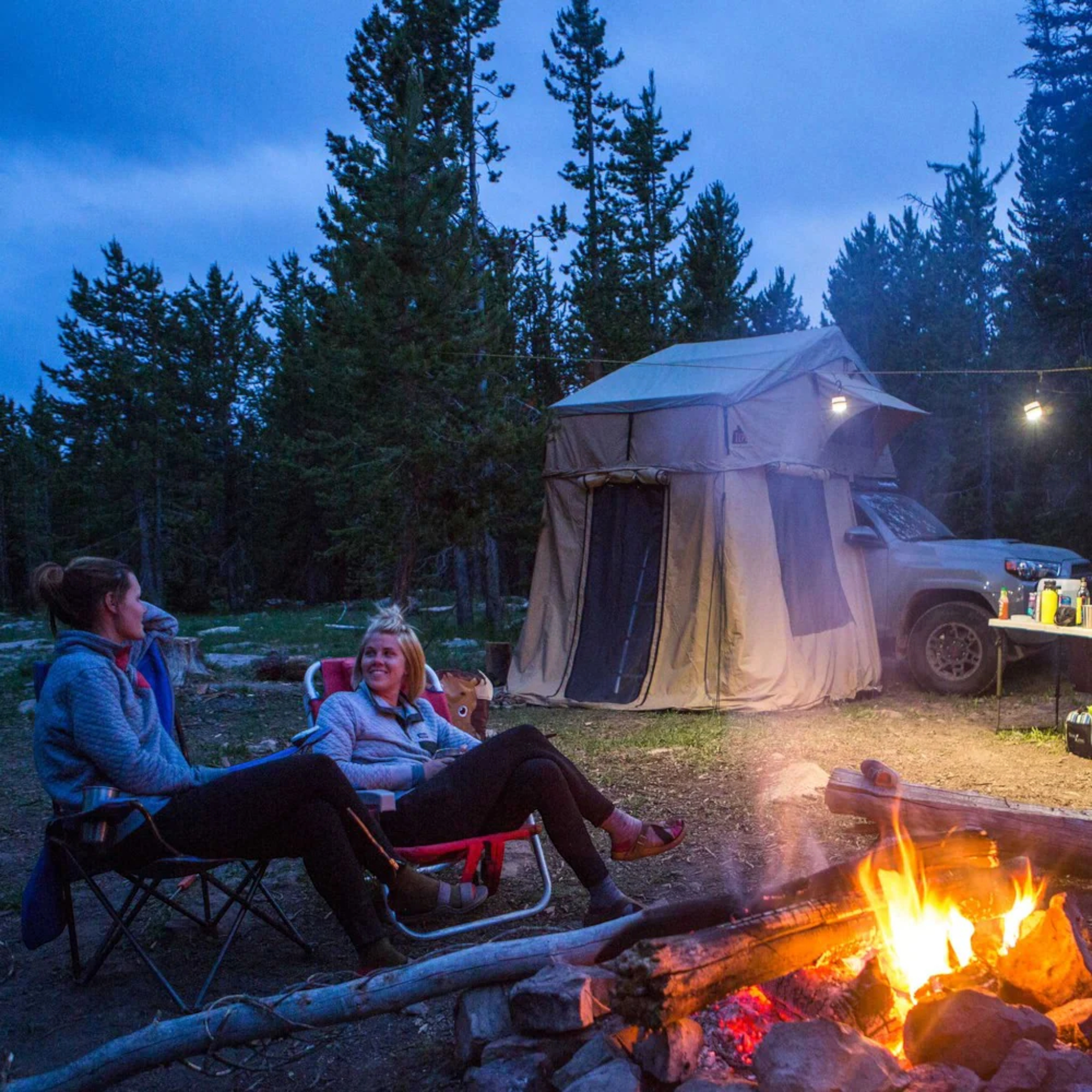 Goal Zero Light-A-Life 350 LED Chainable Pendant Light - FERAL