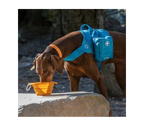 Kurgo Collaps-A-Bowl Orange