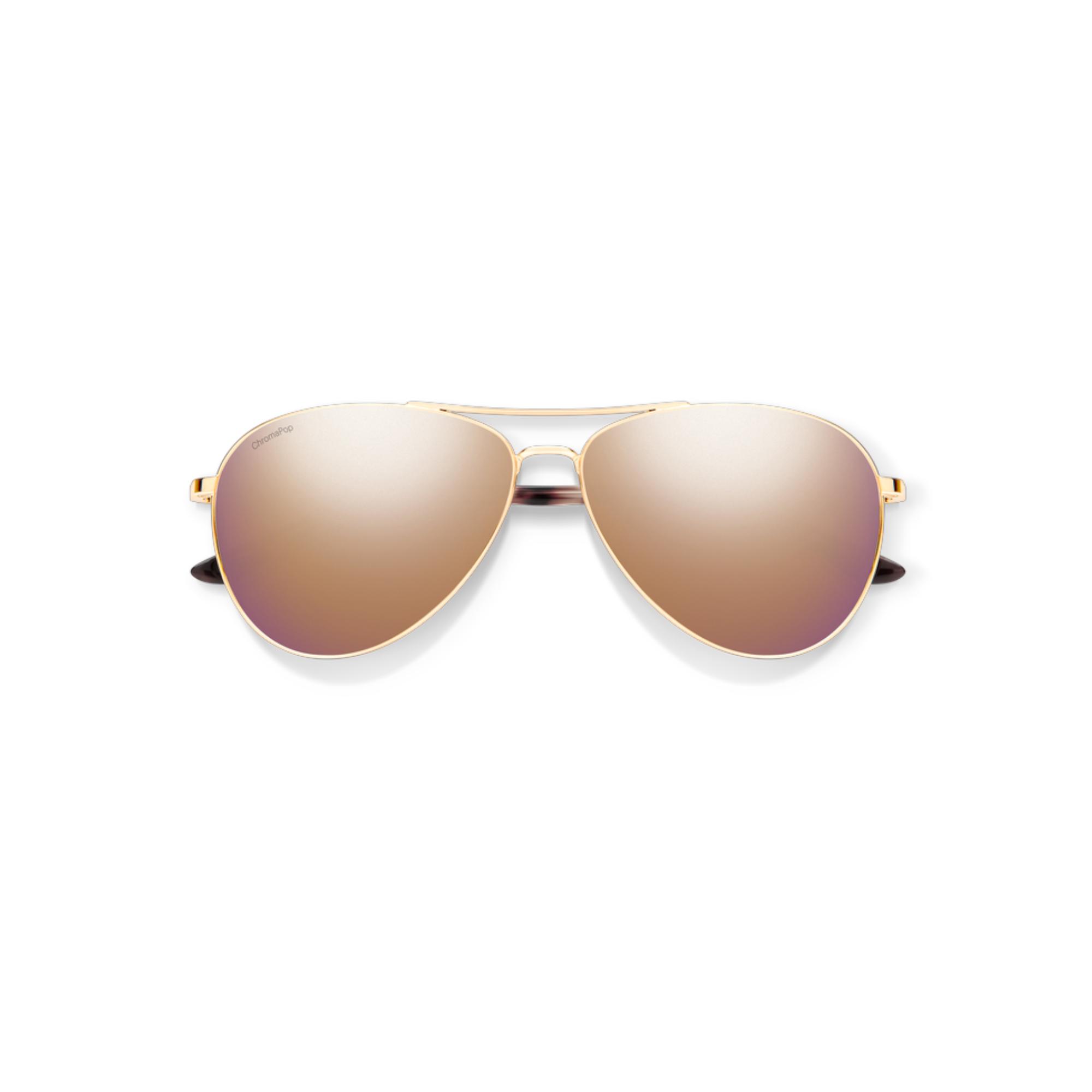 Smith Langley 2 Sunglasses - FERAL
