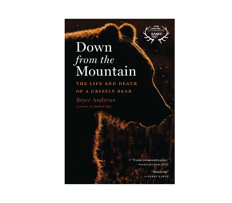 Down from the Mountain: The Life and Death of a Grizzly Bear