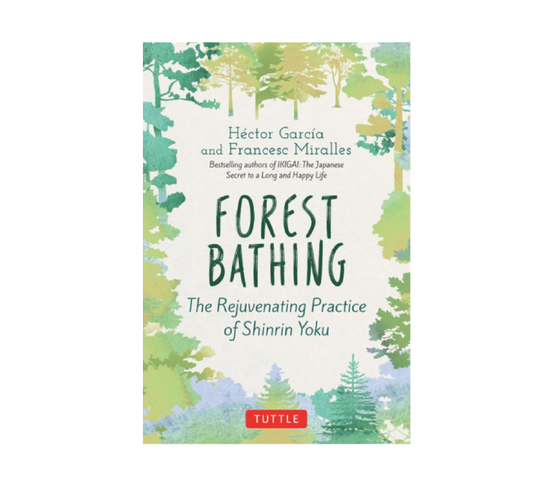 Forest Bathing: A Start Here Guide for Beginners