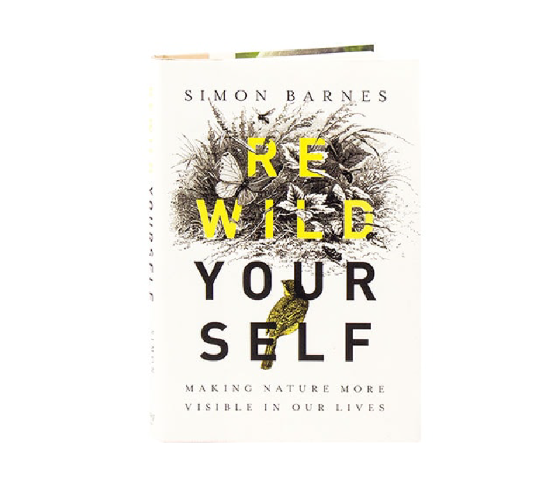 Rewild Yourself: Making Nature More Visible in our Lives