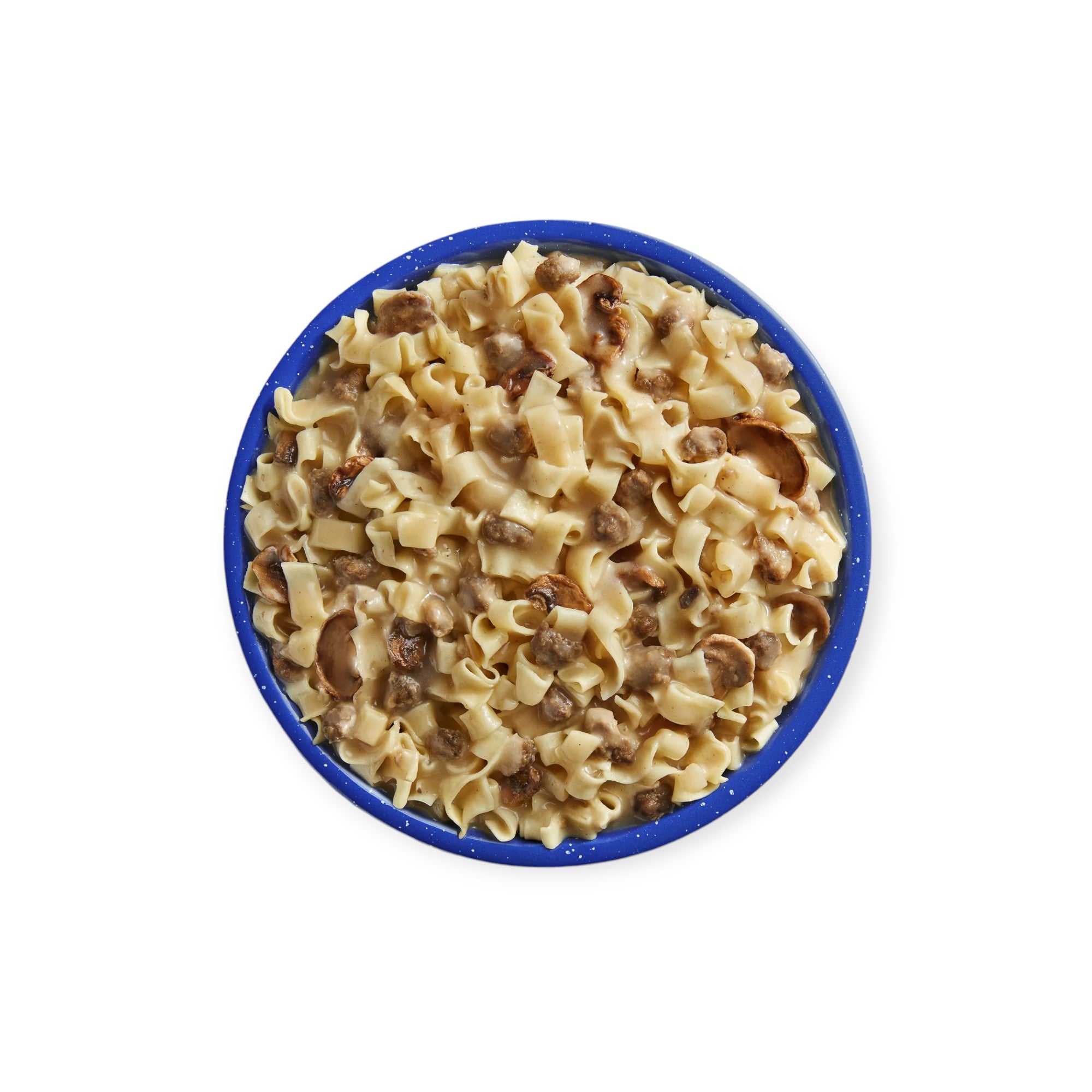 Mountain House Beef Stroganoff Freeze Dried Meal