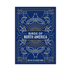 Birds of North America Playing Cards Deck