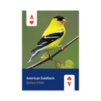Birds of North America Playing Cards Deck