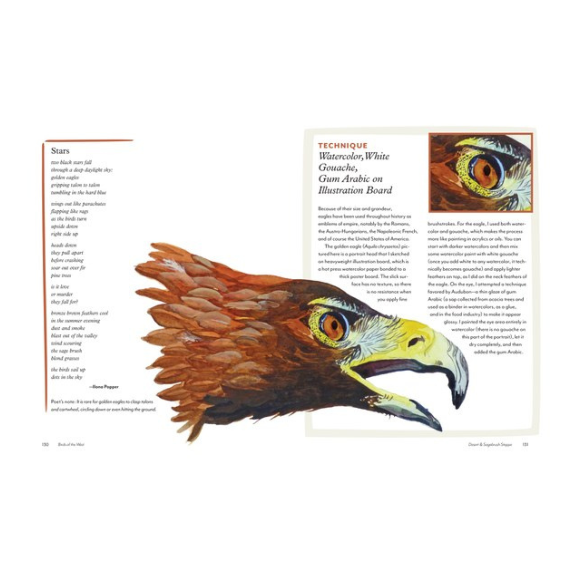 Birds of the West: An Artist's Guide, M. Hashimoto