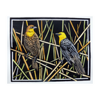 Birds of the West: An Artist's Guide, M. Hashimoto