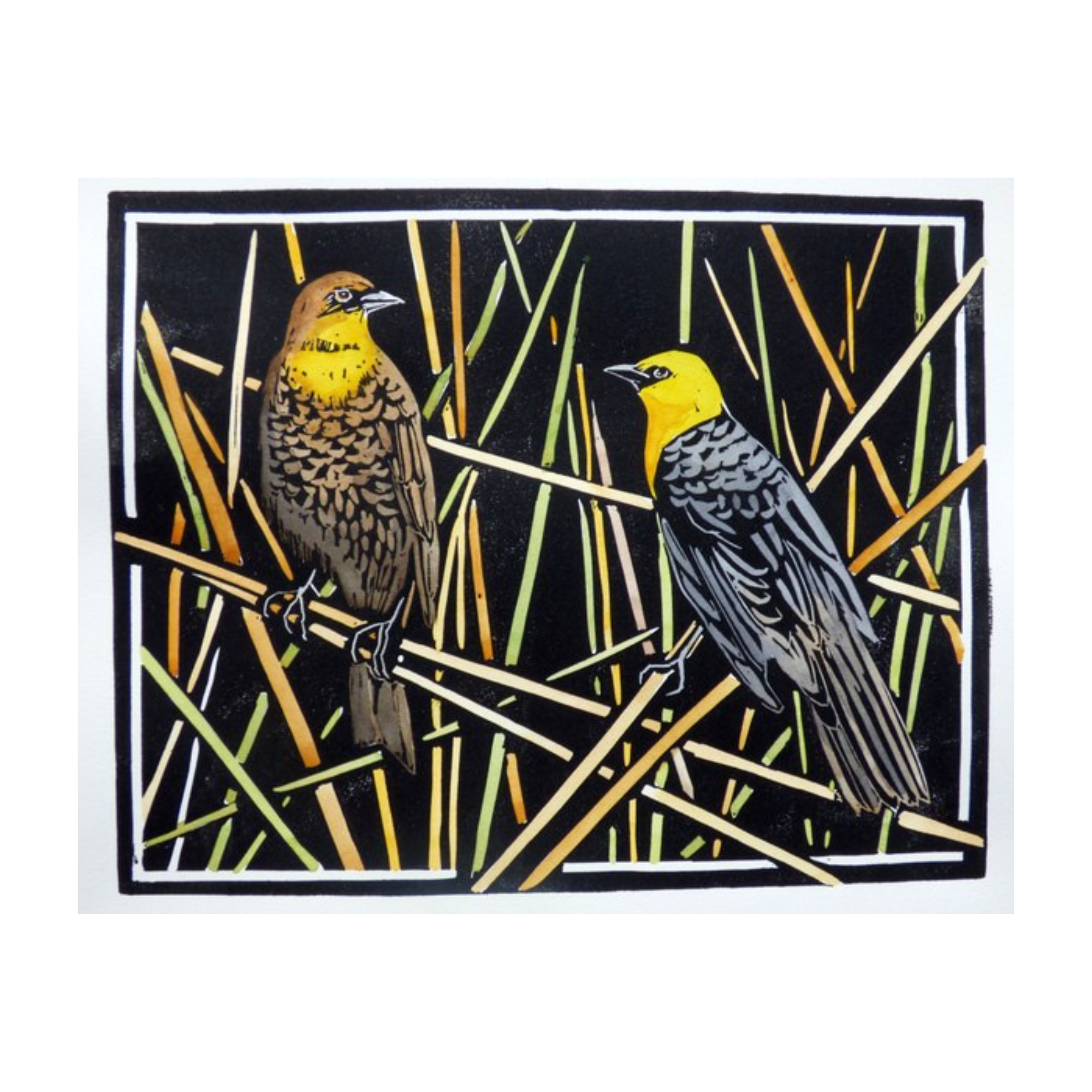 Birds of the West: An Artist's Guide, M. Hashimoto