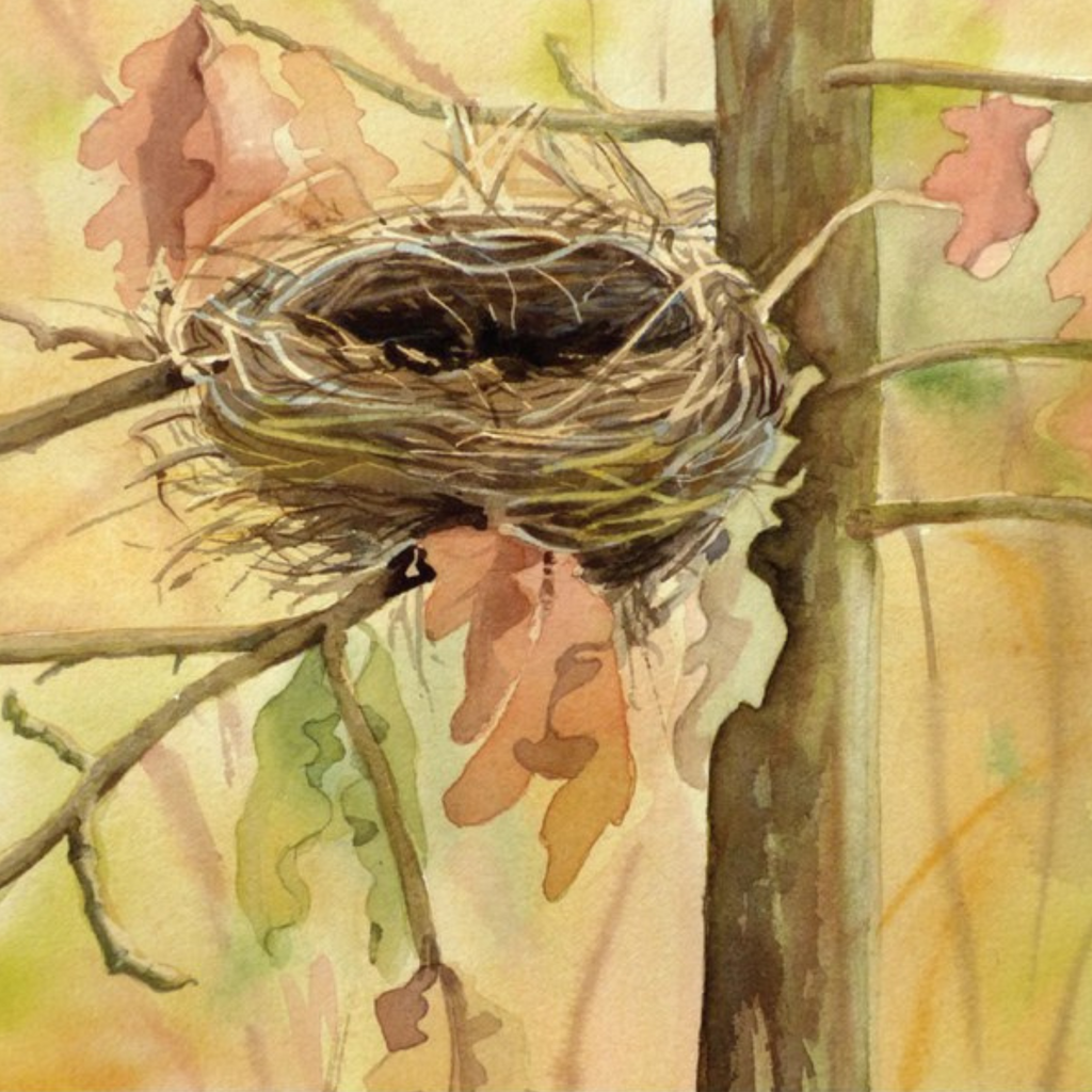 Birds of the West: An Artist's Guide, M. Hashimoto