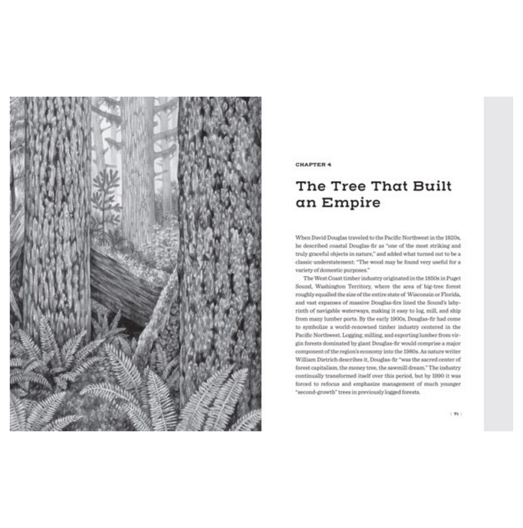 Douglas Fir: The Story Of The West's Most Remarkable Tree