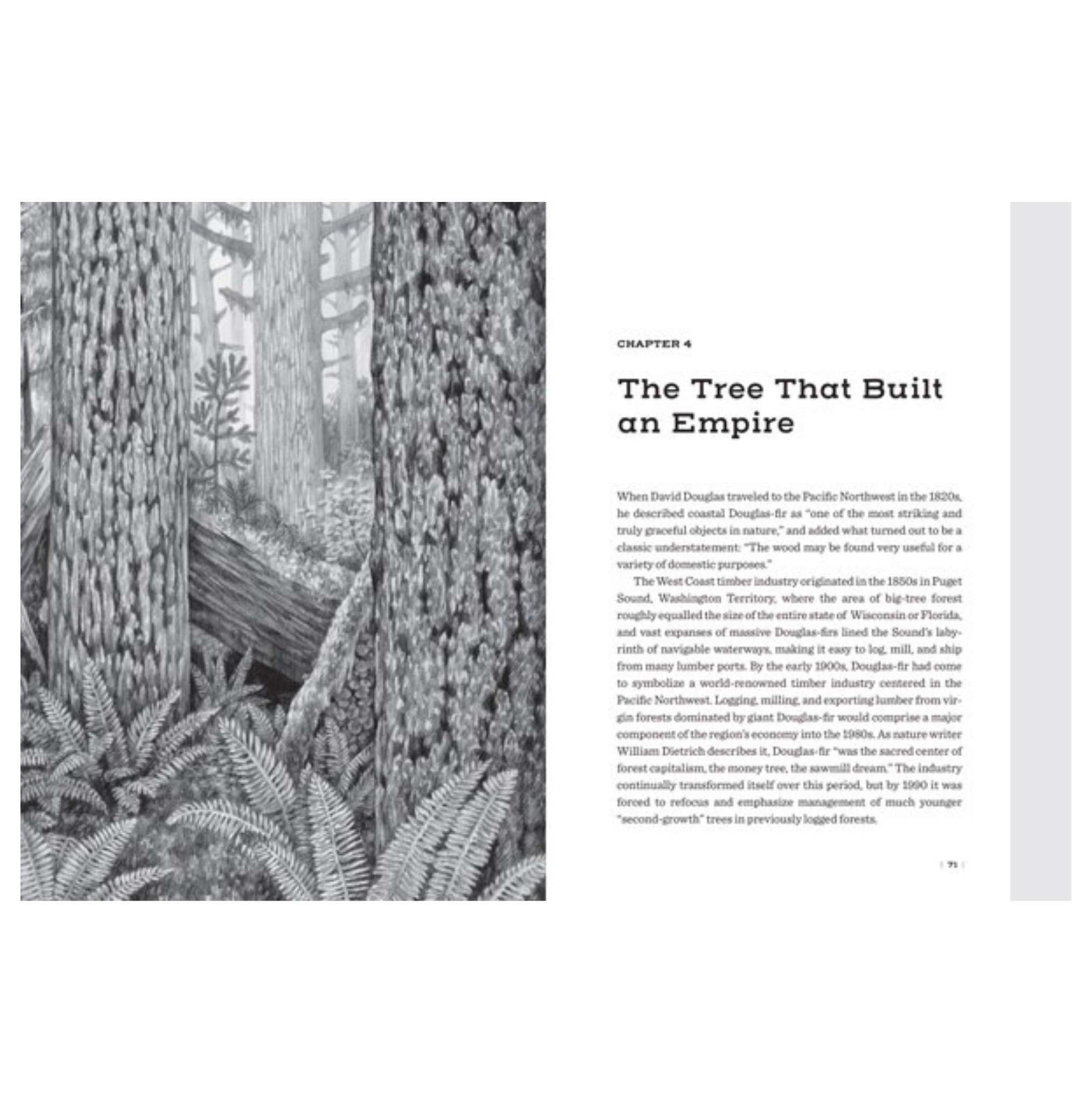 Douglas Fir: The Story Of The West's Most Remarkable Tree