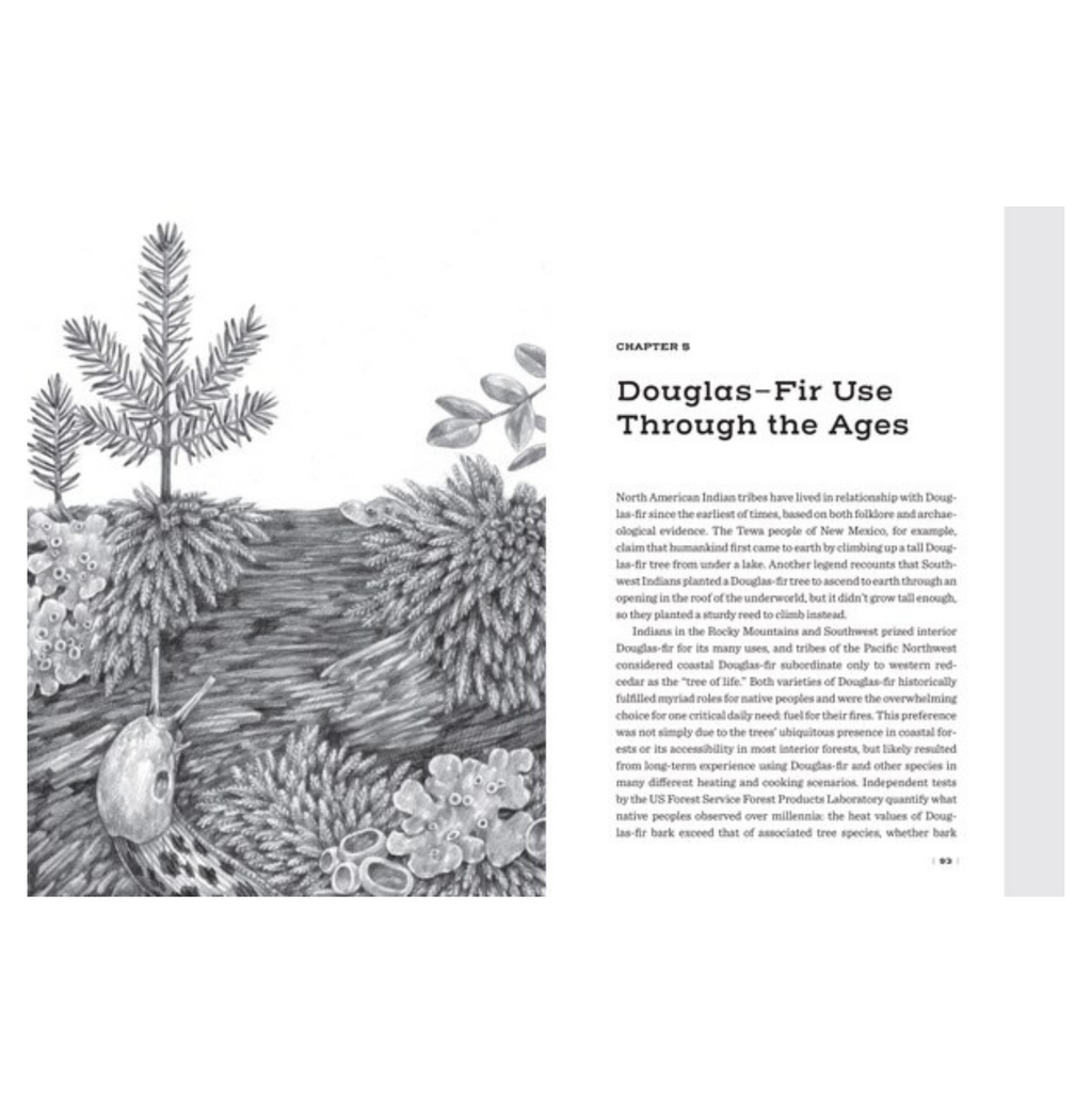 Douglas Fir: The Story Of The West's Most Remarkable Tree