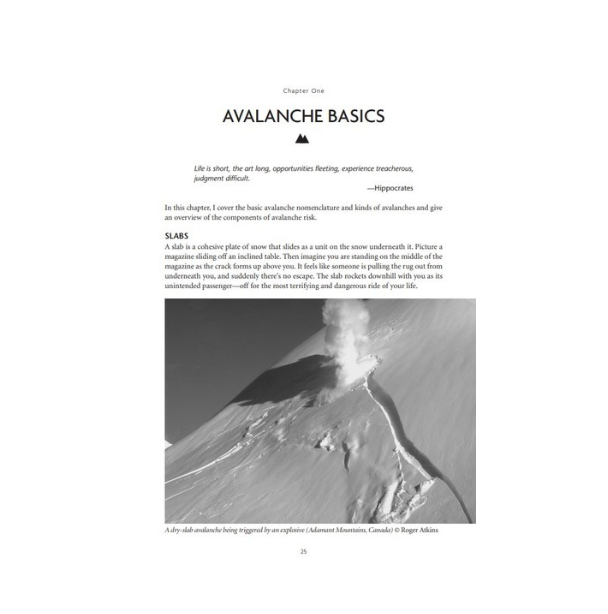 Staying Alive in Avalanche Terrain Book - 3rd Edition