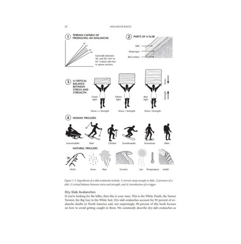 Staying Alive in Avalanche Terrain Book - 3rd Edition