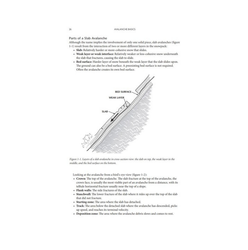 Staying Alive in Avalanche Terrain Book - 3rd Edition