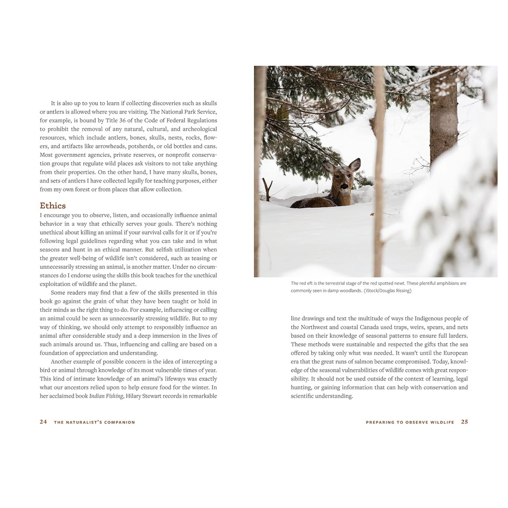 The Naturalist's Companion: A Field Guide to Observing and Understanding Wildlife Book - FERAL