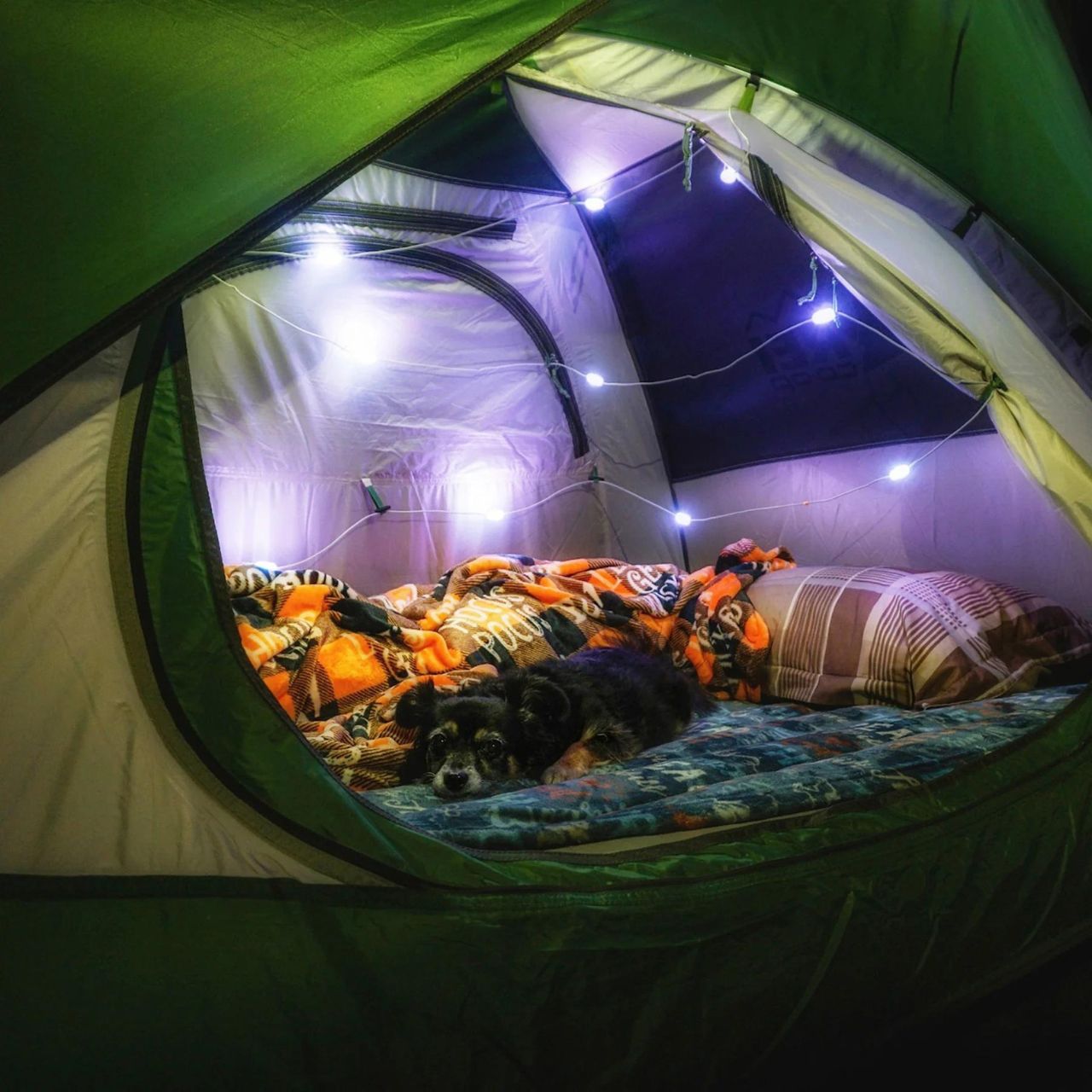 MPOWERD Luci Color Solar String Lights