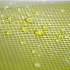 NEMO Dragonfly OSMO 2 Person Tent - FERAL