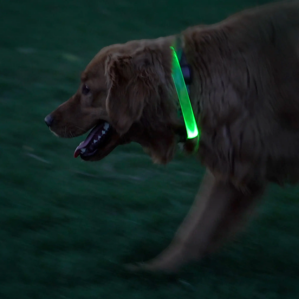 Nite Ize NiteHowl Max Rechargeable LED Safety Necklace - FERAL