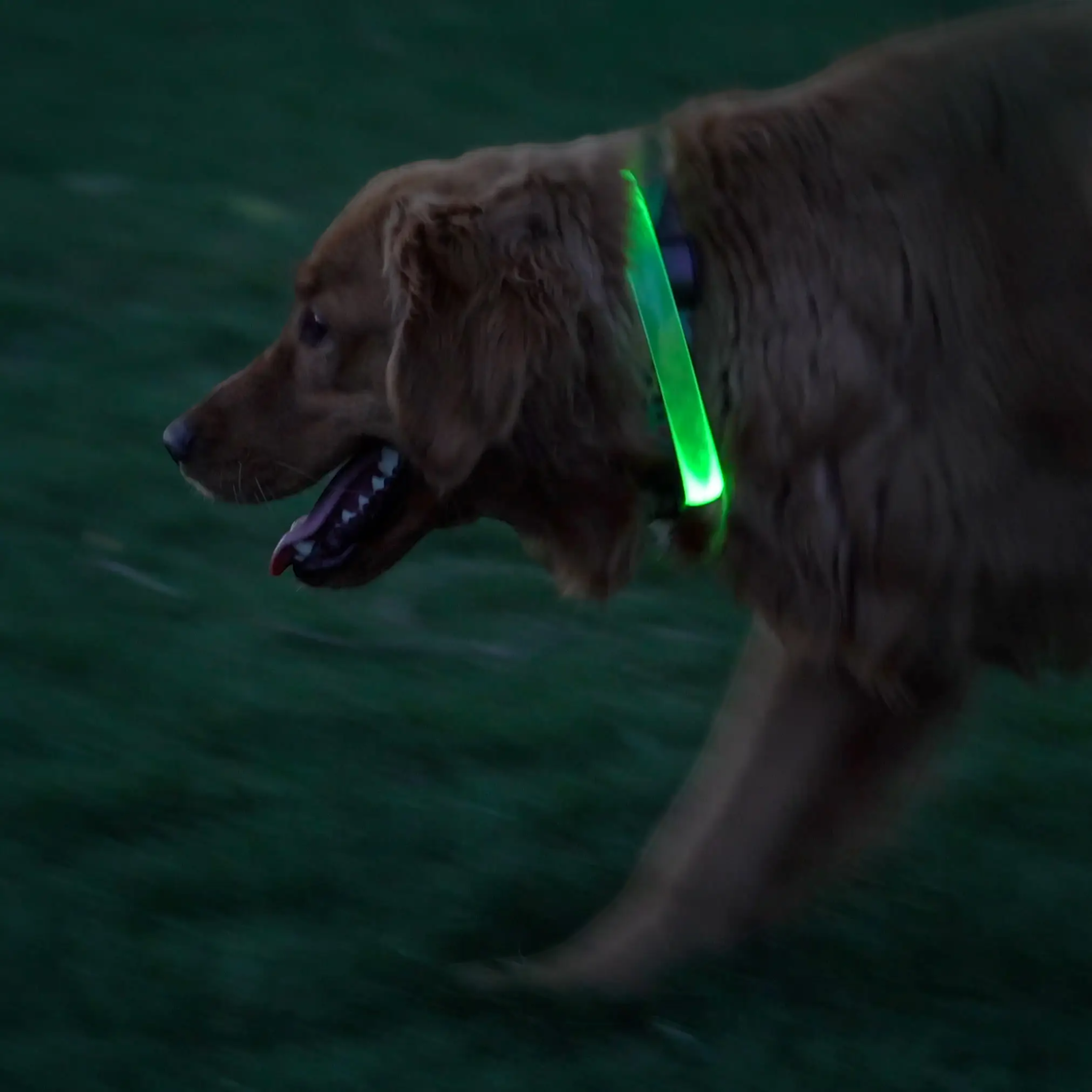 Nite Ize NiteHowl Max Rechargeable LED Safety Necklace - FERAL