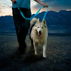 Nite Ize Nitedog Rechargeable LED Dog Leash