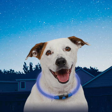 Nite Ize NiteHowl LED Safety Necklace - FERAL