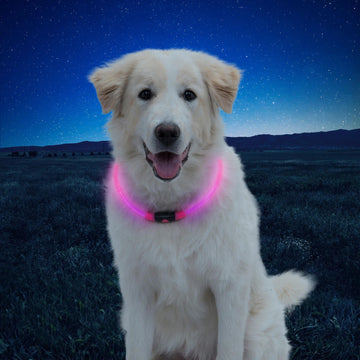 Nite Ize NiteHowl LED Safety Necklace - FERAL